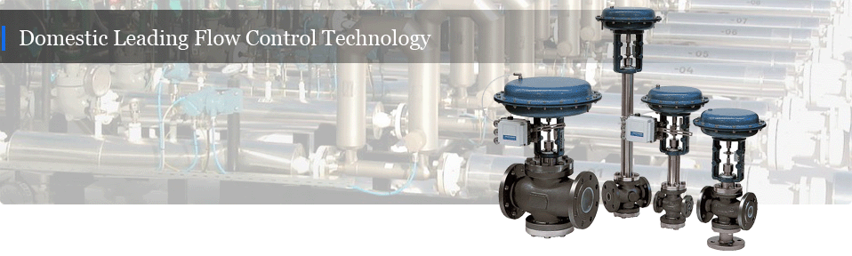 Shanghai Remy Valve Manufacturing Co., Ltd.