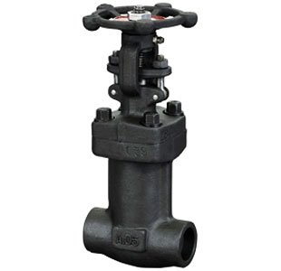 All Weled Bellows Seal Globe Valve