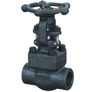 Compact Forged Bolted Bonnet Bellows Seal Bellows Seal Globe Valve
