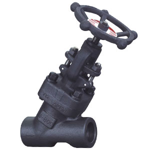 Compact Forged  bolted bonnet bellows seal globe valve.