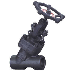 Compact Forged bolted bonnet bellows seal globe valve.