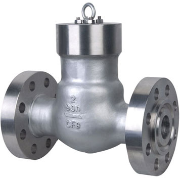 Pressure Seal Check Valve