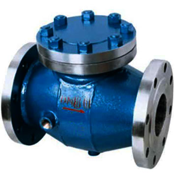 Flange jacket insluation check valves