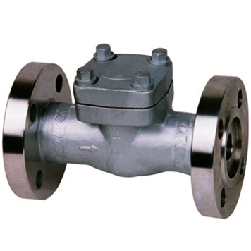 Flange straight-through high pressure check valves