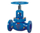 Circuit Balancing Valves