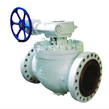 Top Entry Ball Valves