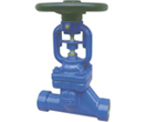 Forged Steel Bellow Seal Globe Valves