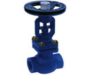 Threaded Bellow Seal Globe Valves