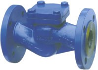 DIN Lift Check Valves