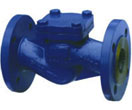 DIN Lift Check Valves