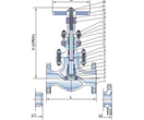 Cl 900, 1500 Lb Cast Steel Globe Valves