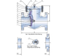 Cl 900, 1500 Lb Cast Steel Swing Check Valves