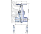 Pressure Seal Gate Valves