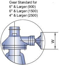 Gear Standard