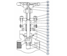 Forged Steel Globe Valves