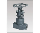 Forged Steel Welded Bonnet Globe Valves