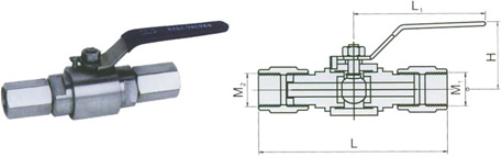 PN 6.4 MPa- Female NPT Ends-Dimensions