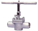 DIN BW Sleeved Plug Valve