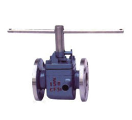 Steam Jacket Plug Valve Pic 4