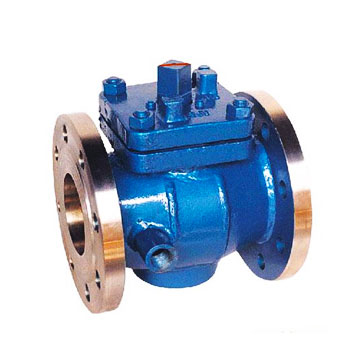 Steam Jacket Plug Valve Pic 1