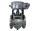 Jacket Plug Valve with Gear