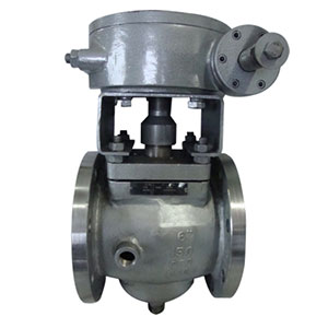 Steam Jacket Plug Valve Pic 3