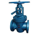 Lift Plug Valve