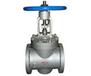 Lift Plug Valve