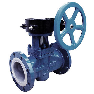 API 599 Lined Plug Valve