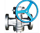 Pressure Balanced Plug Valve