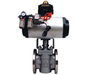 Plug Valve with Pneumatic Actuator