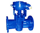 DIN Flanged Sleeved Plug Valve