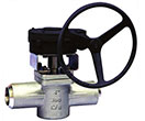 API 599 BW Plug Valve