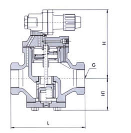 Dimensions of MIYAWAKI Threaded RP-6 Series Steam Pressure Reducing Valve (PRV)