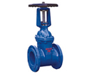 Rising stem resilient seated gate valves