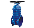 Oversized resilient seated gate valves
