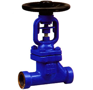 Sizes and Weights of PN 16 Threaded Ends Bellows Seal Globe Valve