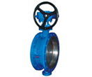 Double Offset Butterfly Valves, Flanged