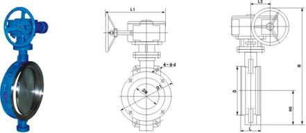 Wafer Double Offset Butterfly Valves