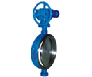 Wafer Double Offset Butterfly Valves