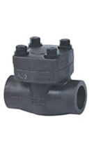 Forged Steel Piston Check Valves, Welded