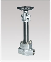 Forged Cryogenic Gate Valves, Threaded and Socket weld Ends