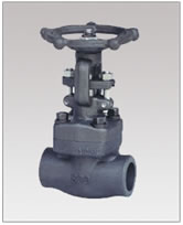 Forged Steel Bolted Bonnet Globe Valves, Threaded and Socket weld