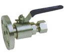 Instrumentation Ball Valves, NPT Lagging Extension to Flange