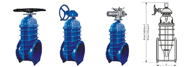 Oversized resilient seated gate valves