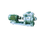 Water ring vacuum pumps