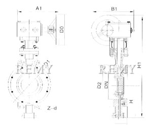 RD373H/F对夹式硬密封碟阀