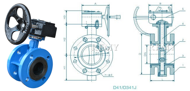 D41/D341J法兰式全衬胶蝶阀 外形尺寸图