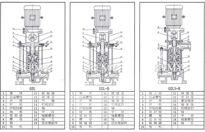 CGDL管道泵 结构简图