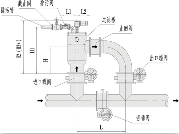 LDSL电动刷式过滤器 安装示意图